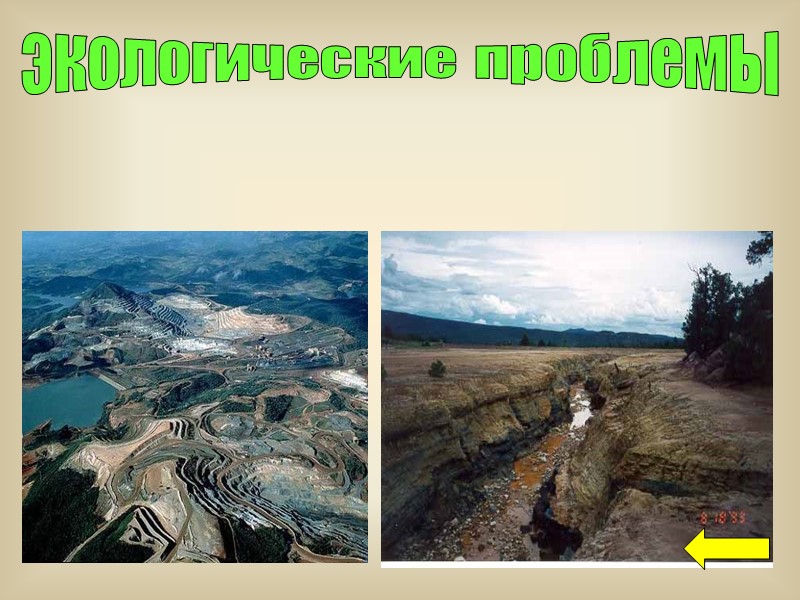 экологические проблемы экологические проблемы